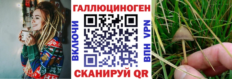 Псилоцибиновые грибы GOLDEN TEACHER  где найти   Буй 